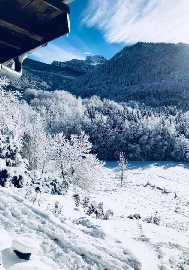 Chalet Eterlou Megevette Ngoại thất bức ảnh